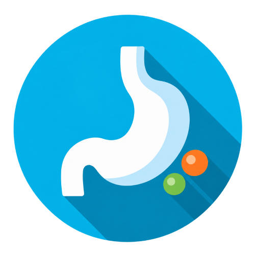 Digestión y Salud Intestinal